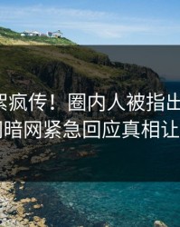 最新花絮疯传！圈内人被指出乎意料，爆料网暗网紧急回应真相让人瞠目