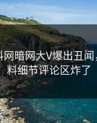本周爆料网暗网大V爆出丑闻，出乎意料细节评论区炸了