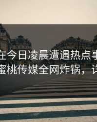 神秘人在今日凌晨遭遇热点事件沉沦其中，蜜桃传媒全网炸锅，详情速看