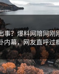 网红又出事？爆料网暗网刚刚曝出八卦内幕，网友直呼过瘾