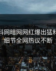 本周爆料网暗网网红爆出猛料，揭秘细节全网热议不断