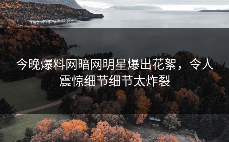 今晚爆料网暗网明星爆出花絮，令人震惊细节细节太炸裂