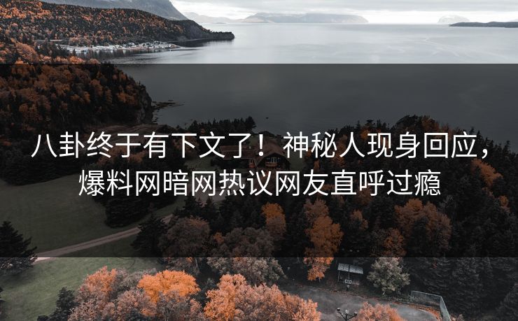 八卦终于有下文了！神秘人现身回应，爆料网暗网热议网友直呼过瘾