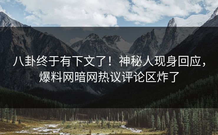 八卦终于有下文了！神秘人现身回应，爆料网暗网热议评论区炸了