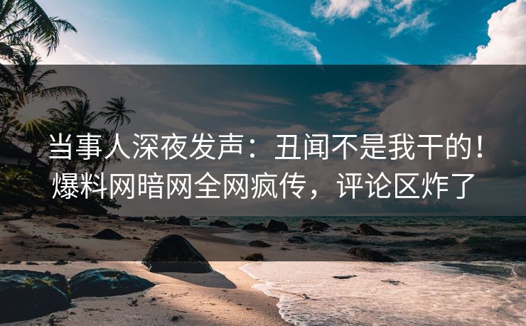 当事人深夜发声：丑闻不是我干的！爆料网暗网全网疯传，评论区炸了