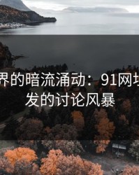 网络世界的暗流涌动：91网址导航引发的讨论风暴