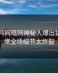 刚刚爆料网暗网神秘人爆出猛料，引爆全场细节太炸裂