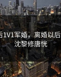 离婚以后1V1军婚，离婚以后1V1军婚沈黎修唐恍