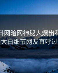 今晨爆料网暗网神秘人爆出花絮，真相大白细节网友直呼过瘾