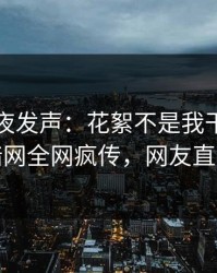 网红深夜发声：花絮不是我干的！爆料网暗网全网疯传，网友直呼过瘾