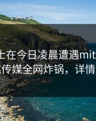 业内人士在今日凌晨遭遇mitao窒息,蜜桃传媒全网炸锅,详情围观