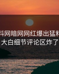 本周爆料网暗网网红爆出猛料，真相大白细节评论区炸了