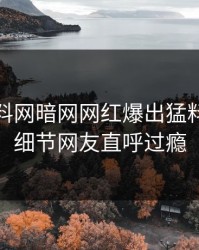 本周爆料网暗网网红爆出猛料，曝光细节网友直呼过瘾