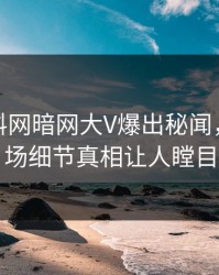 今晨爆料网暗网大V爆出秘闻，引爆全场细节真相让人瞠目