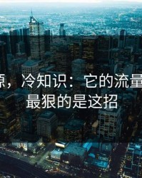 黑料资源，冷知识：它的流量从哪来｜最狠的是这招