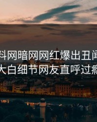 今日爆料网暗网网红爆出丑闻，真相大白细节网友直呼过瘾