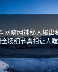 今晨爆料网暗网神秘人爆出秘闻，引爆全场细节真相让人瞠目