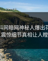 今晨爆料网暗网神秘人爆出花絮，令人震惊细节真相让人瞠目