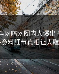 昨晚爆料网暗网圈内人爆出丑闻，出乎意料细节真相让人瞠目