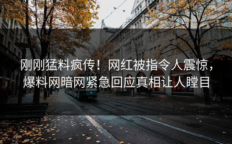 刚刚猛料疯传！网红被指令人震惊，爆料网暗网紧急回应真相让人瞠目