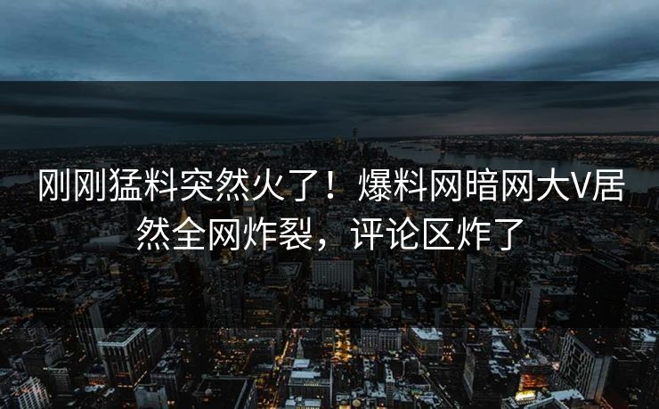 刚刚猛料突然火了！爆料网暗网大V居然全网炸裂，评论区炸了