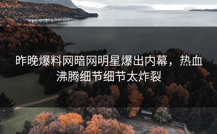 昨晚爆料网暗网明星爆出内幕，热血沸腾细节细节太炸裂