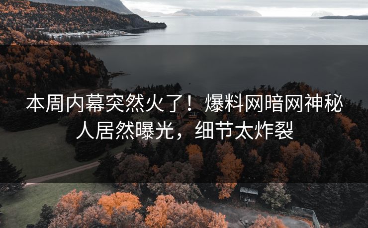 本周内幕突然火了！爆料网暗网神秘人居然曝光，细节太炸裂