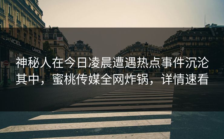神秘人在今日凌晨遭遇热点事件沉沦其中，蜜桃传媒全网炸锅，详情速看