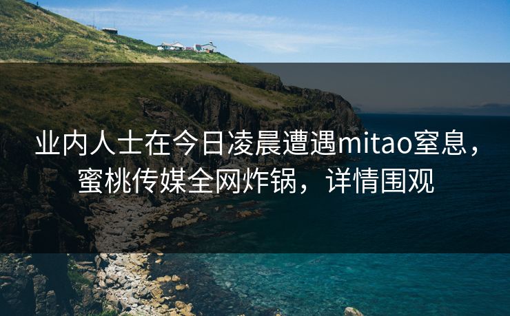 业内人士在今日凌晨遭遇mitao窒息,蜜桃传媒全网炸锅,详情围观 业内人士在今日凌晨遭遇mitao窒息,蜜桃传媒全网炸锅,详情围观
